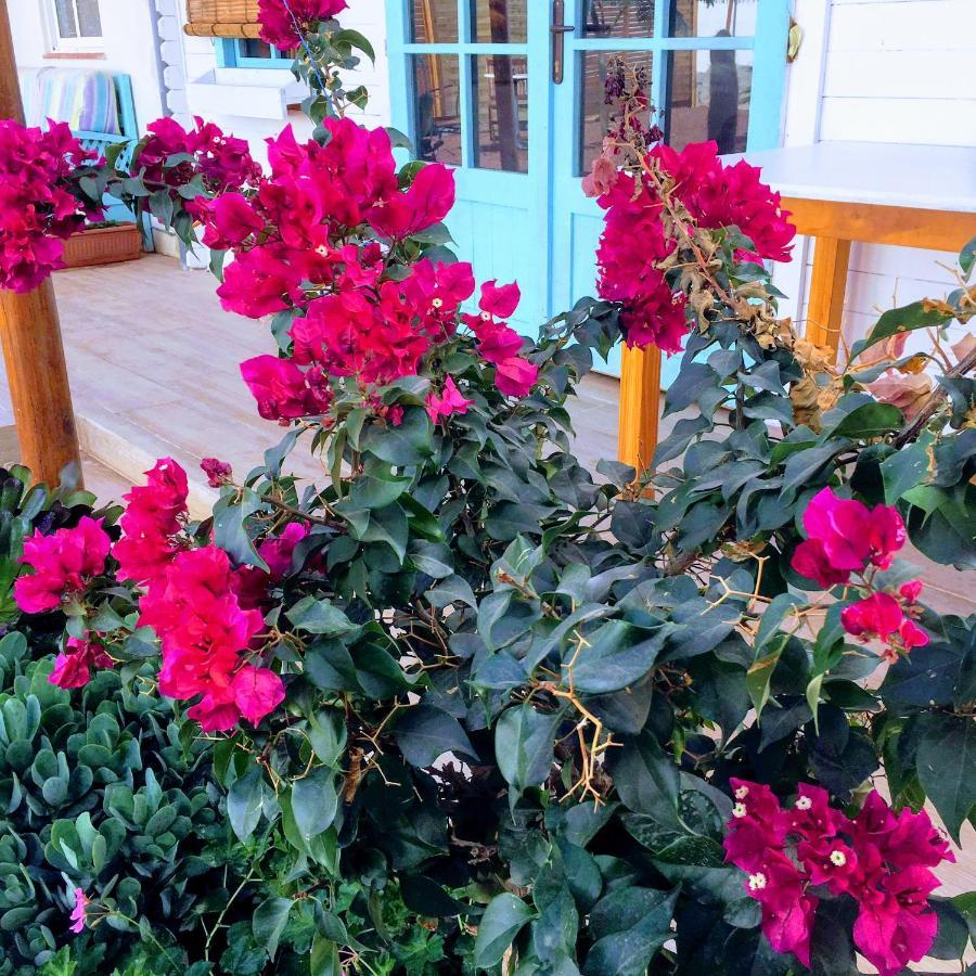 Beautiful Vintage Bungalow Wifi Parking. Las Galletas Ngoại thất bức ảnh