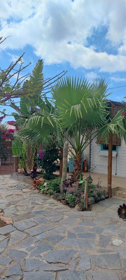 Beautiful Vintage Bungalow Wifi Parking. Las Galletas Ngoại thất bức ảnh